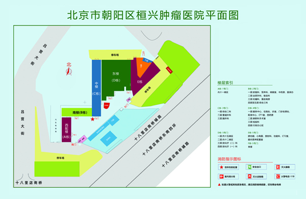 男生的大鸡巴操女生视频北京市朝阳区桓兴肿瘤医院平面图